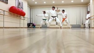 Я не ходил на каратэ