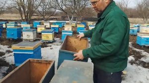 Ловушки для пчёл ройов своими руками. Какие они.