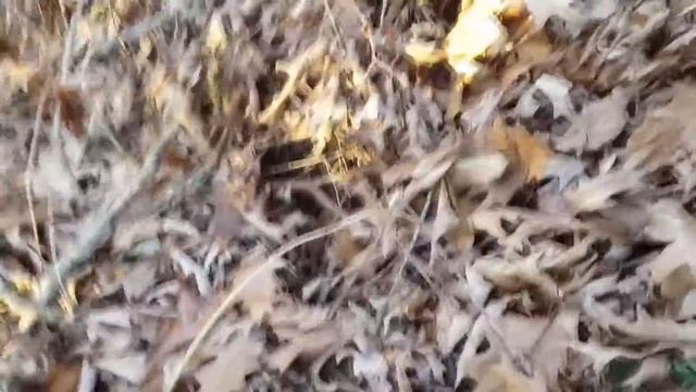 Epic HoW tO's| How to do Epic Skateboard Tricks смотреть онлайн