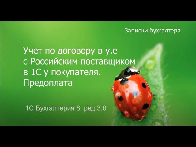 Учет по договору в у.е. с Российским поставщиком в 1С. Предоплата