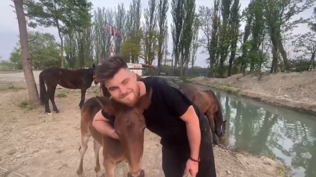 АРГУН | МАЛЕНЬКИЙ ЛОШАДЕНОК смотреть онлайн