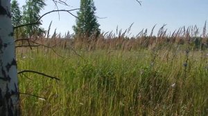 Отдых на природе