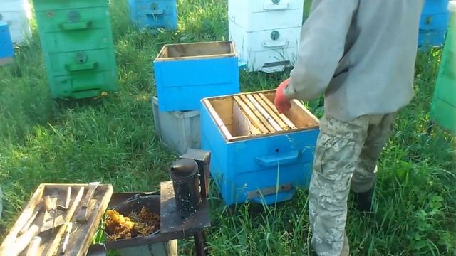 Исправить трутовку быстро и просто смотреть онлайн