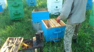 Исправить трутовку быстро и просто