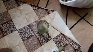 Замена ниппеля (соска) бескамерного колеса без шиномонтажа