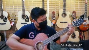 REVIEW CHENEL - CORT SFX-ME-OP VS CORT SFX-MEM-OP