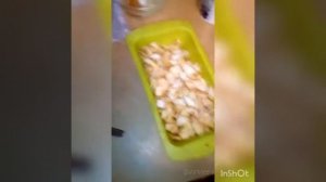 Шарлотка с яблоками и протеином. Видеорецепт