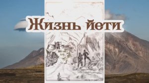 Жизнь йети 03.12.2023 ?⚡??