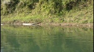 Опасная экскурсия на каноэ по реке Рапти (Непал)