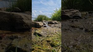 ТЕТА-ВОЛНЫ СПОКОЙСТВИЕ МЕДИТАЦИЯ