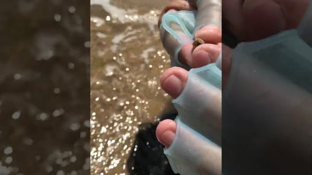 Бугазская коса июль 2021. Благовещенская. Лучше этого места мы ещё не видели смотреть онлайн