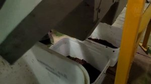 Агрегат извлечения перги АИП 25