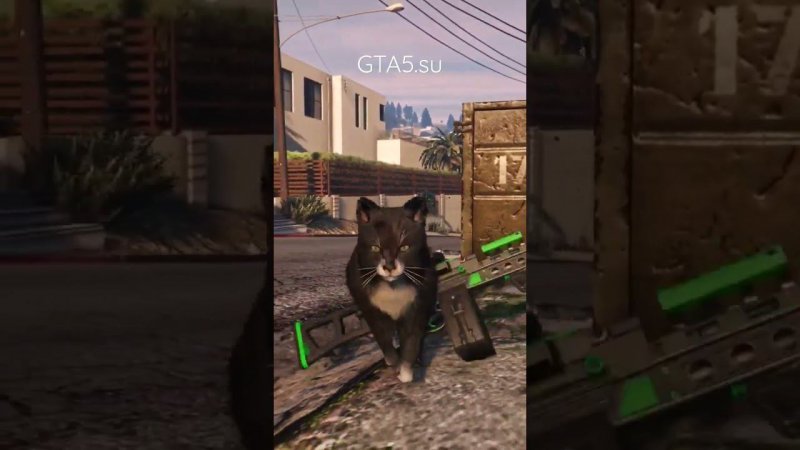 Я Котик  в GTA Online #gta5 #gtaonline #gtav #cat #кот