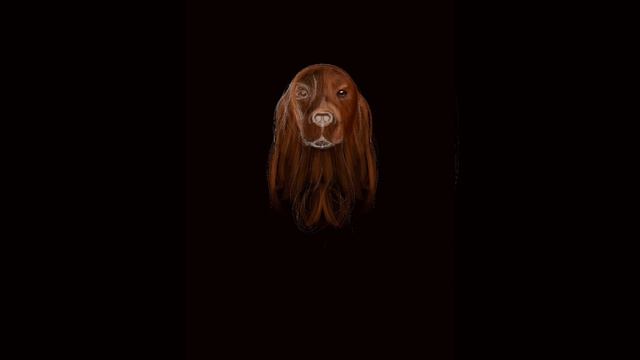 Ричард - пес