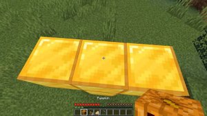 Compilation Scary Moments part 12 - Wait What meme in minecraft