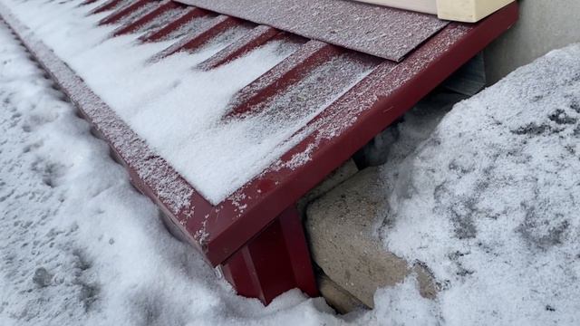 В доме хаос. Потерялась кошка, я переживала.