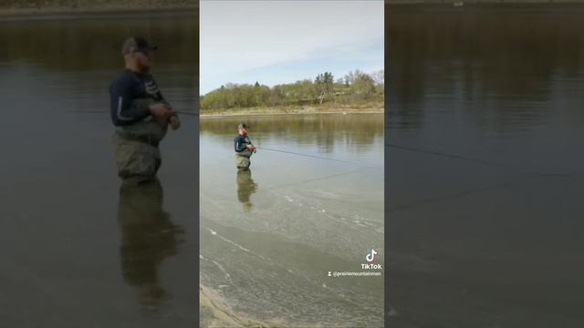 Fresh water Drum on a Fly!