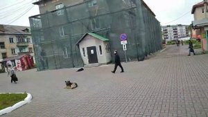 Город Поронайск маршрут автобуса#1.