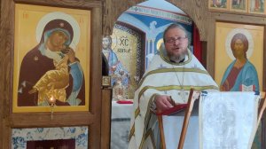 21 июня 2024 г.