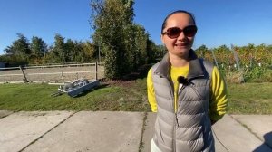 ЛОВЛЯ ДИКИХ УСТРИЦ в Нидерландах. Роттердам, кубические дома, Зеландия