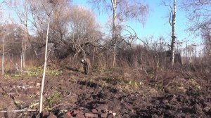 Шурф фундамента!часть вторая! металлоискателем X-TERRA 705! нашел царские монеты в Урочище коп 2021