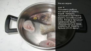 Уха из окуня . Рецепт от шеф повара Максима Григорьева