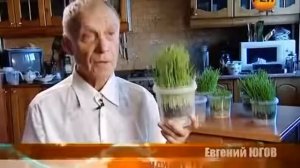 Пища богов  Интервью Евгения Югова