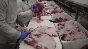 Мясоперерабатывающий завод