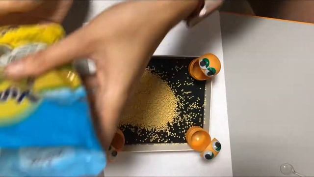Сенсорная коробочка с помощью яиц из под киндер сюрприза