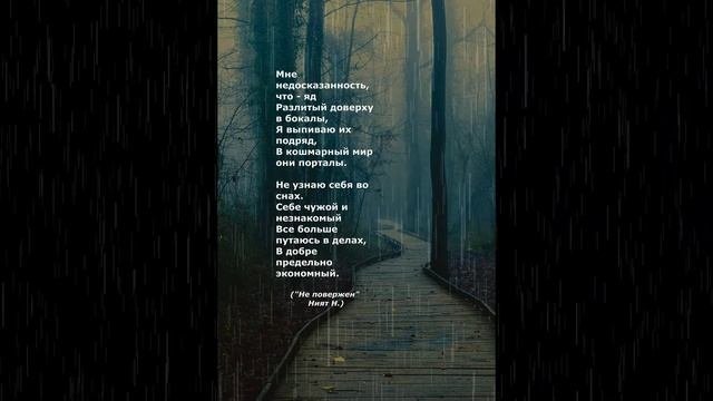 #поэзия#стихи