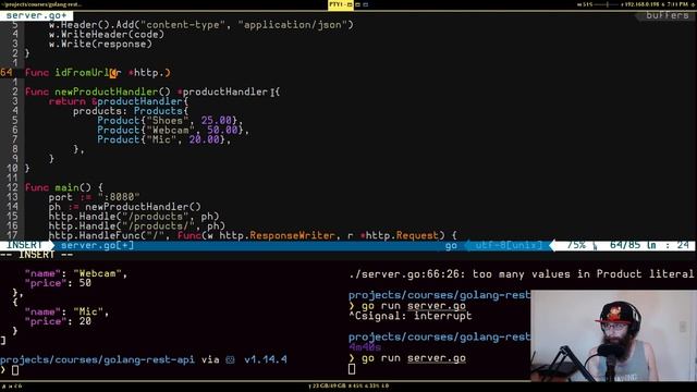 Go REST API with NO DEPENDENCIES!?! - Go / Golang REST API Tutorial | #feurious