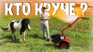 После такого теста Коня еле откачали. Мотоблок Агат 8.0 л.с. творил чудеса!!!