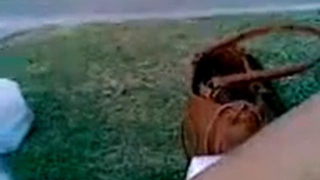 Brad Smith - Sudoku Platinum смотреть онлайн