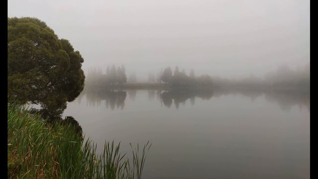 Д  Хармс  Что это было #стихидлядетей #поэты20века