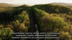 Подробно о видах вагонов и их типах, какой бывают классификации