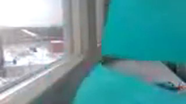 Новые канцтовары и книга коты воители смотреть онлайн