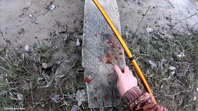 ШАМАЙКА ИДЁТ НА НЕРЕСТ. РЕКА ГУМС.РЫБАЛКА. смотреть онлайн