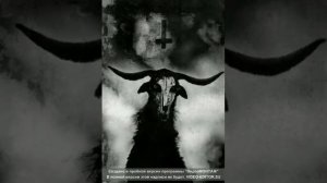 Звуки Сатаны Из ада???☠☠??