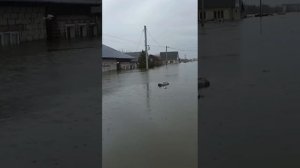 моя улица после потопа