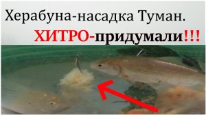 Взорвавшая интернет рыболовная насадка 2022. Насадка Карп.Карась насадка.