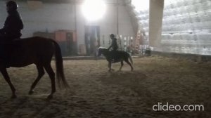 занятия в манеже 22.10.2023