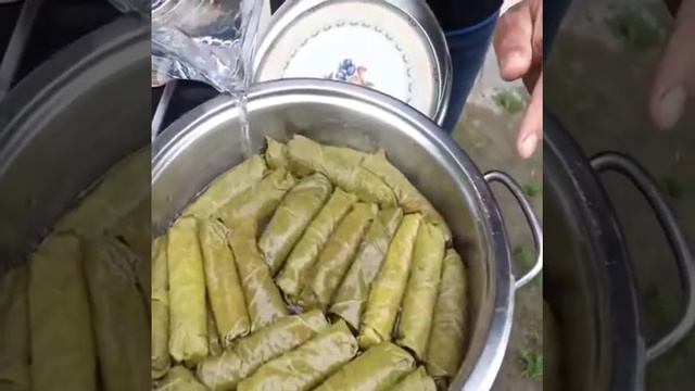 Вкусная и сочная долма из виноградных листьев на мангале 2020