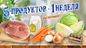 Готовлю всю неделю из 5 продуктов. День 0 и 1.