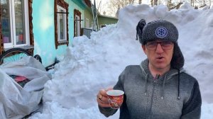 Обзор ЧАЯ с ЭВКАЛИПТОМ Турецкий порошковый чай Antalya Eucalyptus