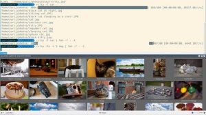 rclip: An AI-Powered Command-Line Photo Search Tool Built With OpenAI's CLIP