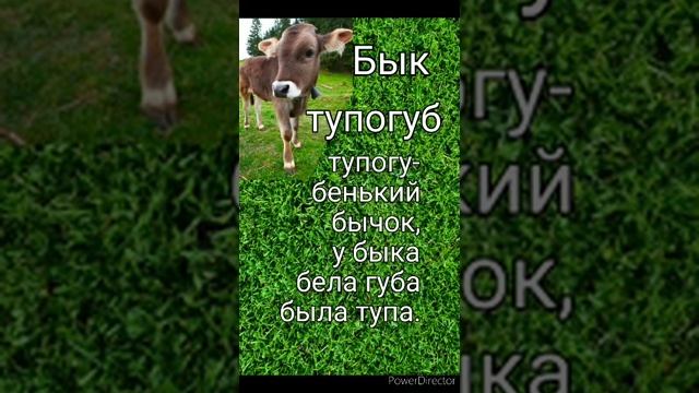 Скороговорка " Бык тупогуб". смотреть онлайн