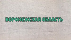 9. Воронежская область