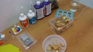 Доступная гидропоника Выпуск  4