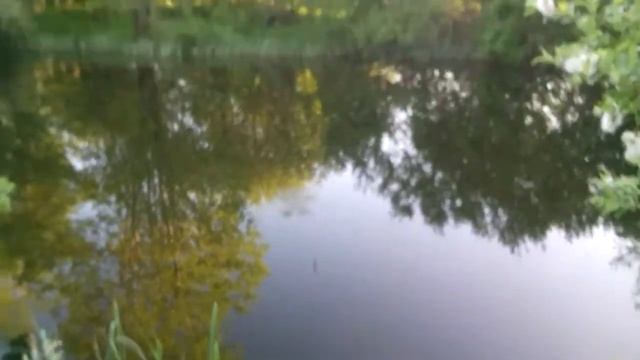 Ловля карася в волосово