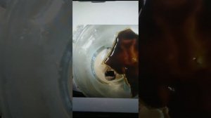 отливка  воском дистанционно (3 дня по 3 отливки)